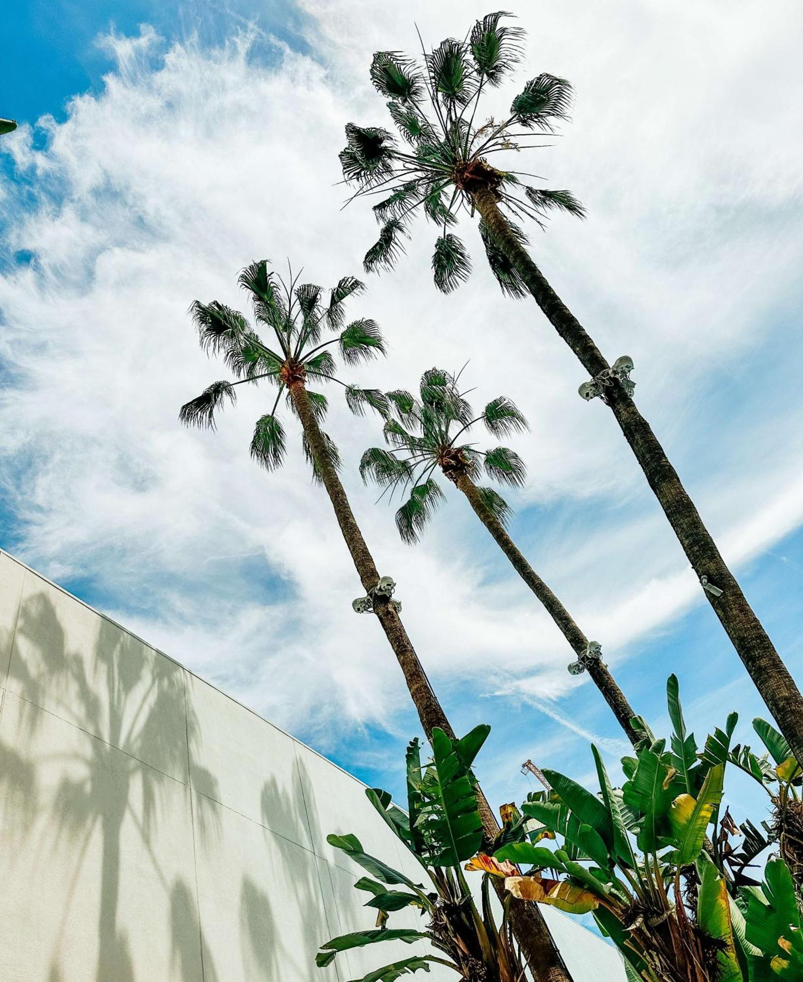The Beverly Hilton Лос-Анджелес Екстер'єр фото